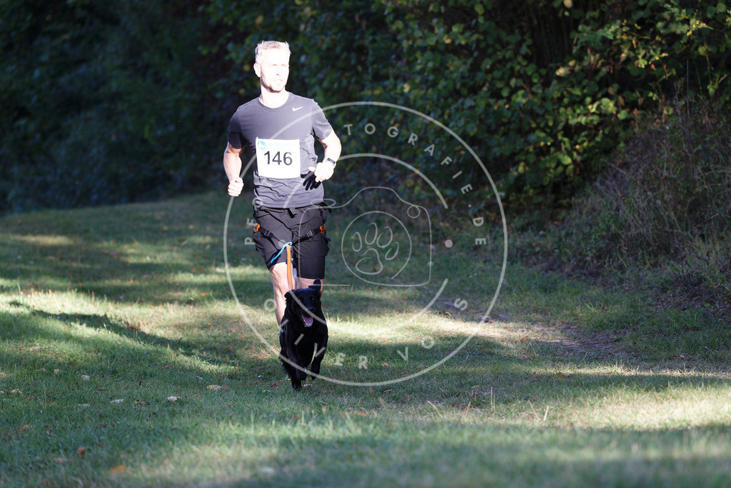 0L8A5010 | Hundefotografie, Tierfotograf, Pfotenfotografie, Fotoshooting Hund, Hunde Portrait, Hundesport, Hundeportraits, Heideshooting, Hunde, Sportfotograf, Hundefotograf, Turnierhundsport, THS,  - Realisiert mit Pictrs.com