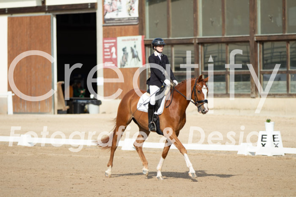 IMG_0610 | Creatify Fotografie