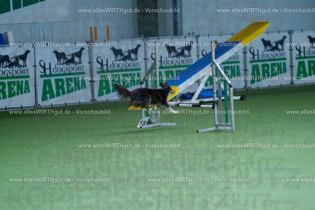 @allesWIRTHgut_Tierfotografie - www.allesWIRTHgut.de - 2604251301-7R503435 | Professionelle Tierfotografie in Mönchengladbach von Daniel Wirth (allesWIRTHgut). Liebevolle & natürliche Bilder von Hunden & Katzen für unvergessliche Erinnerungen.