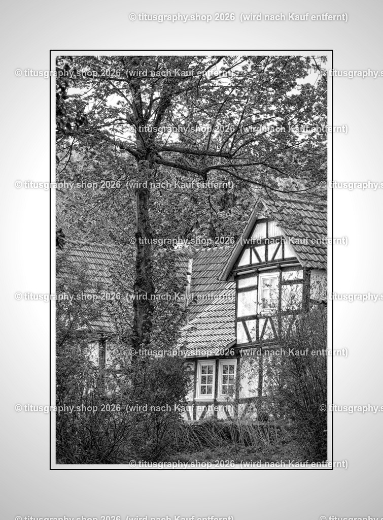 2022-04-29_FT-125_Oberkaufungen_DSC_0600_bearbeitet_pe-05 (Kopie) | titusgraphy-shop: Geschenkideen mit Qualitätsfotos. titusgraphy-shop: gift ideas with quality photos. titusgraphy-shop: idées cadeaux avec photos de qualité.  - Realisiert mit Pictrs.com