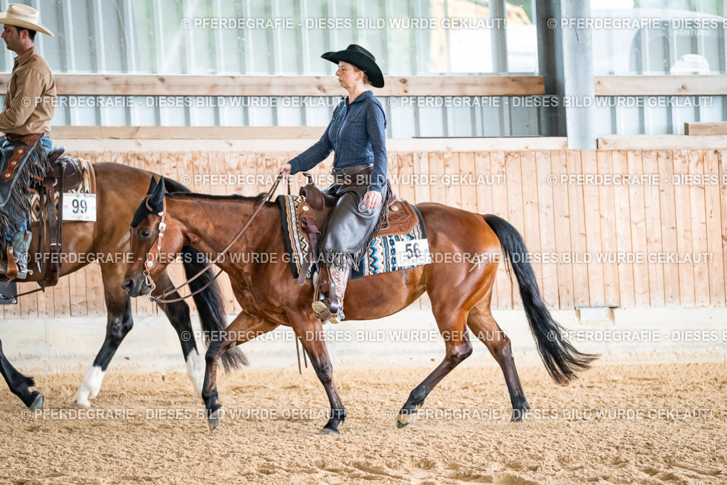 DSC09871 | Pferdegrafie