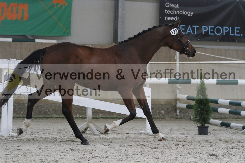 _MG_9556 | equestrian-live-com