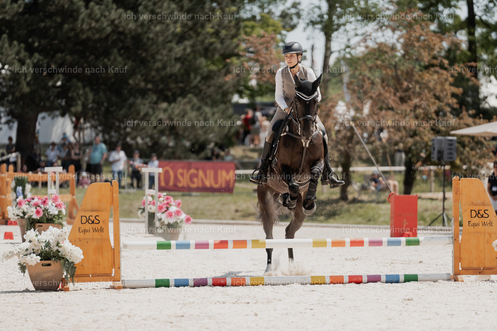7C_04394 | Pferd International München 2025