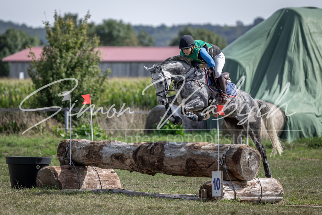 20250907-_3LI0974 | Tierfotografie Pferde, Hunde, Katzen, Haustiere.
Turnierfotografie Reitturniere, Reiten, Springreiten, Dressur in Hanau, dem Main-Kinzig-Kreis und dem Rhein-Main- Gebiet um Frankfurt