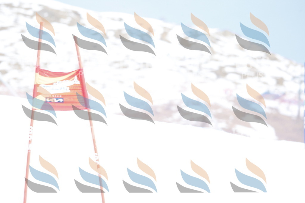 _W1G2944 | holidayphoto