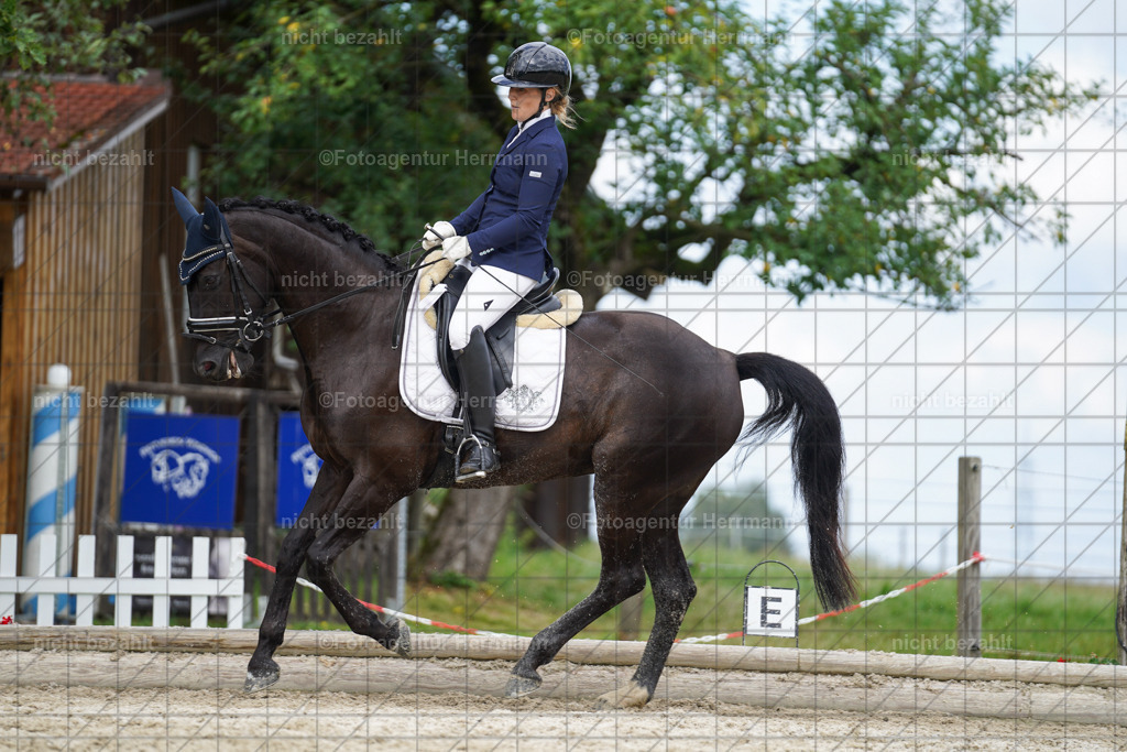 20230826-FAH05657 | Forstinning, 2023, Dressurturnier, Turniersportbilder, Turnierfotografen Bayern, Fotoagentur Herrmann, Reitsportfotografie, Turnierbilder