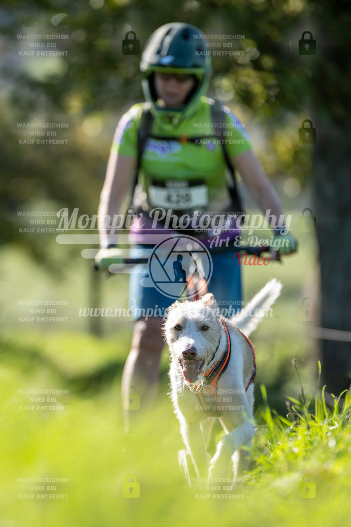 MompixPhotography_20TSB_E3_DS1-71 | PayLife