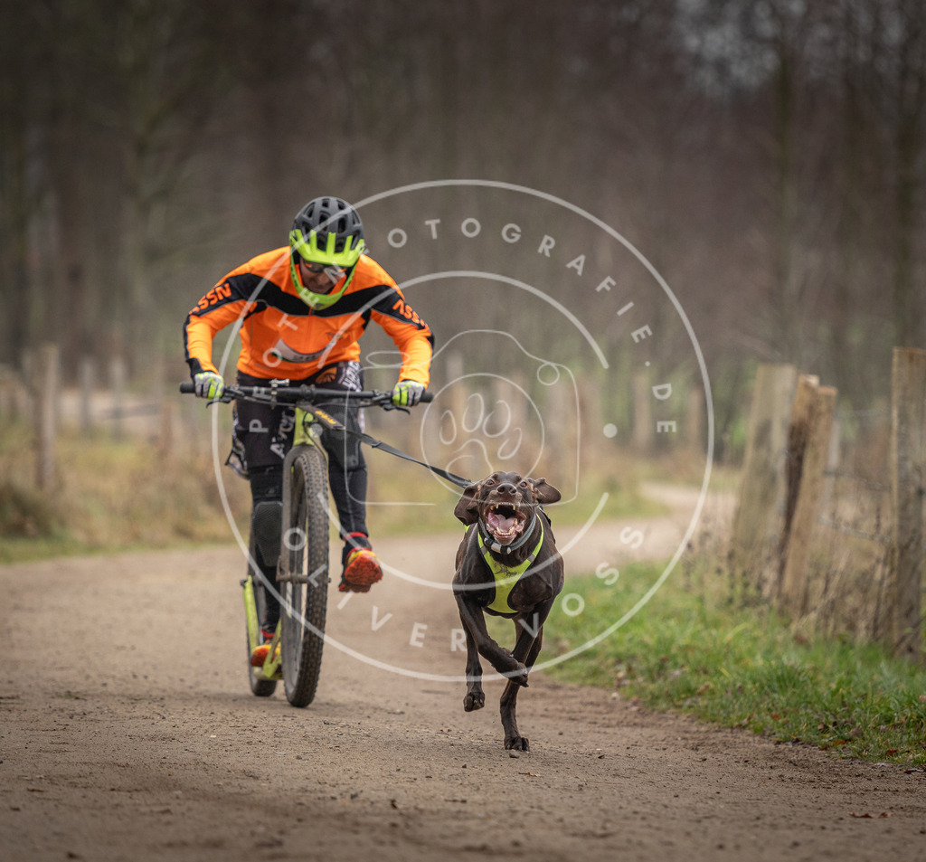 Pfotenfotografie_DV3A2189 | Hundefotografie, Tierfotograf, Pfotenfotografie, Fotoshooting Hund, Hunde Portrait, Hundesport, Hundeportraits, Heideshooting, Hunde, Sportfotograf, Hundefotograf, Turnierhundsport, THS,  - Realisiert mit Pictrs.com