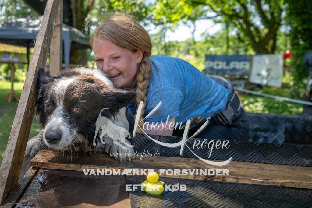 1343_ZZ92079 | kk-dogfotos