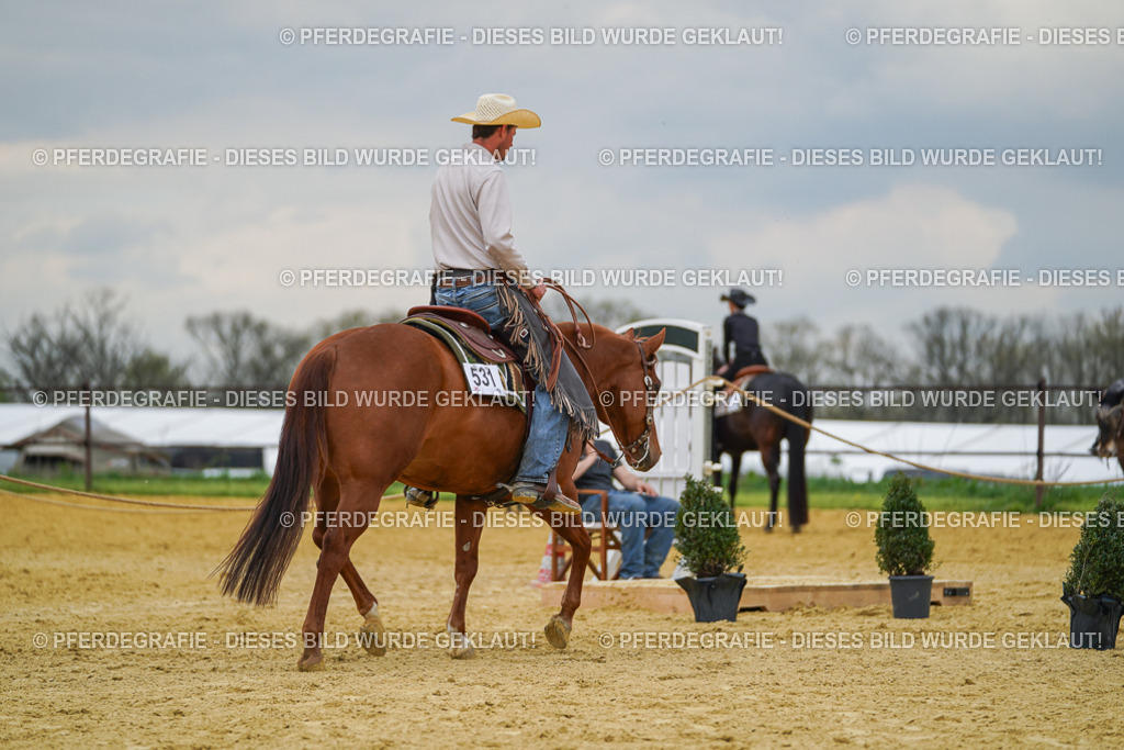 DSC07105 | Pferdegrafie