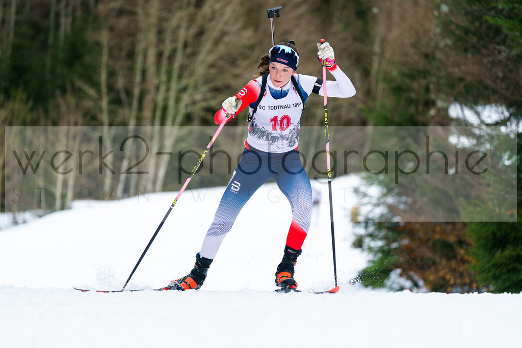 FESA Alpencup / DP Notschrei | Deutschland Pokal Finale im Schwarzwald NORDIC-CENTER Notschrei am 7. - 8. Februar 2026