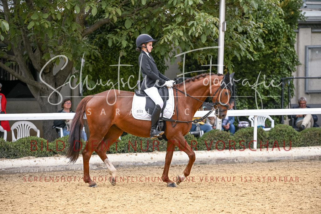 Schugtsche-Aluta25-44.DresssurreiterWB-311 | Schugtsche Fotografie - Realisiert mit Pictrs.com