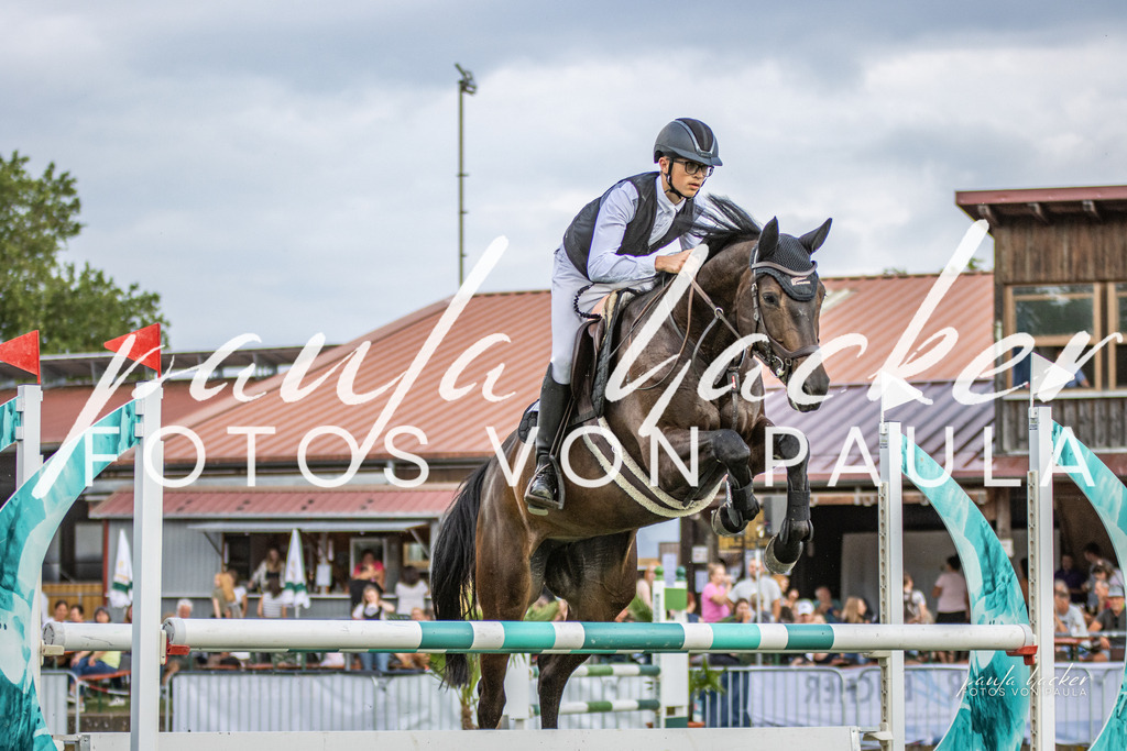 IMG_7732 | Erleben Sie dynamische Sport- und emotionale Tierfotografie in Süddeutschland mit Fotos von Paula. Spezialisiert auf Pferde- und Hundefotografie sowie Sportevents. Kontaktieren Sie mich für einzigartige und ausdrucksstarke Bilder Ihrer besonderen Momente. - Realisiert mit Pictrs.com