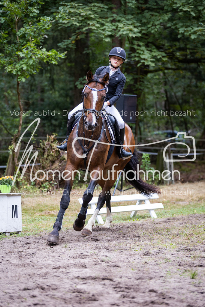 HB-Caprilli-015 | MomenTaufnahmen Pferdesportfotos