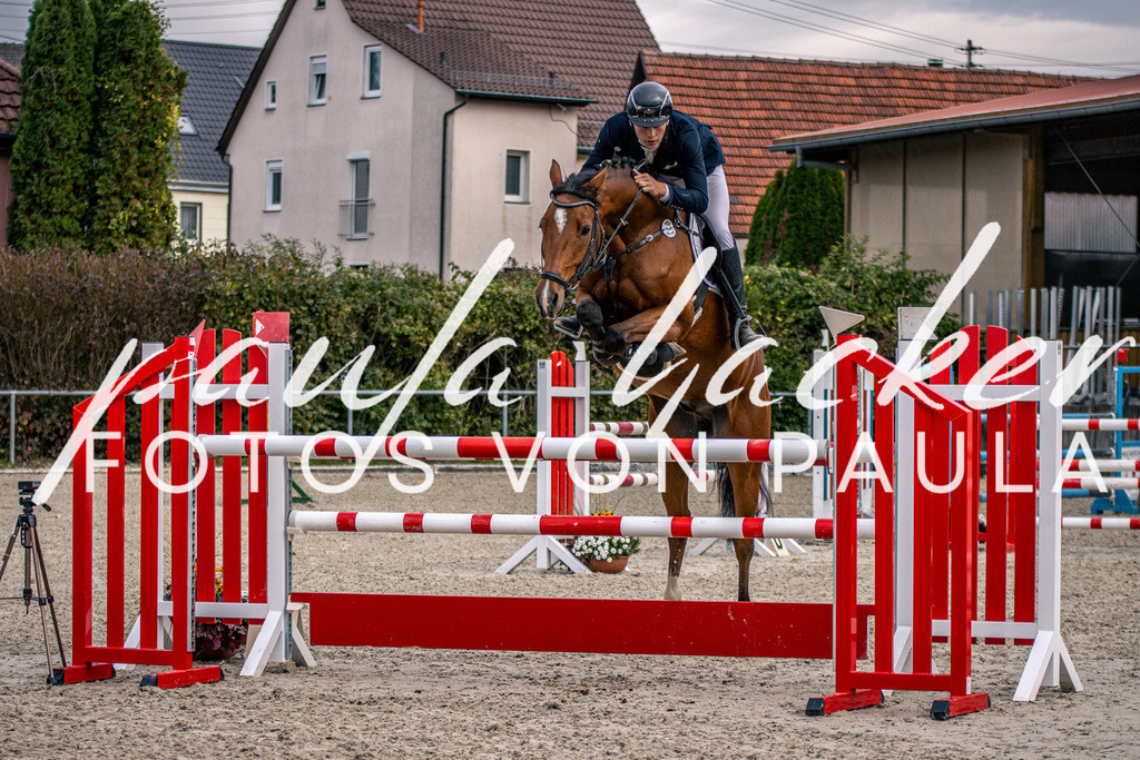 IMG_5947 | Erleben Sie dynamische Sport- und emotionale Tierfotografie in Süddeutschland mit Fotos von Paula. Spezialisiert auf Pferde- und Hundefotografie sowie Sportevents. Kontaktieren Sie mich für einzigartige und ausdrucksstarke Bilder Ihrer besonderen Momente.