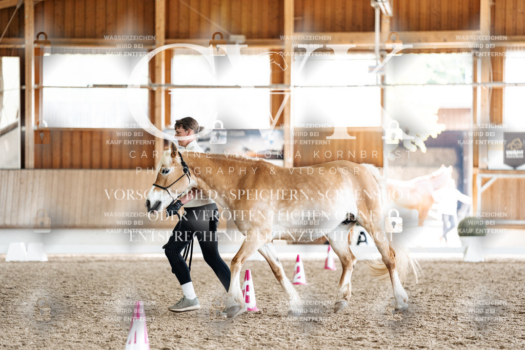 CK908559 | Turnierfotografie Pferdefotografie Trier Rheinland-Pfalz Pferdesport Reitsport Tierfotografie Sportfotografie Pferdevideo Pferdevideografie Equestrianvideography equestrianphotography  - Realized with Pictrs.com