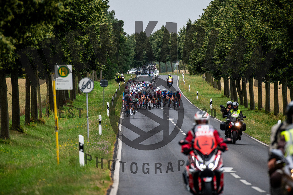 _DKP8281 | Drew Kaplan Photography