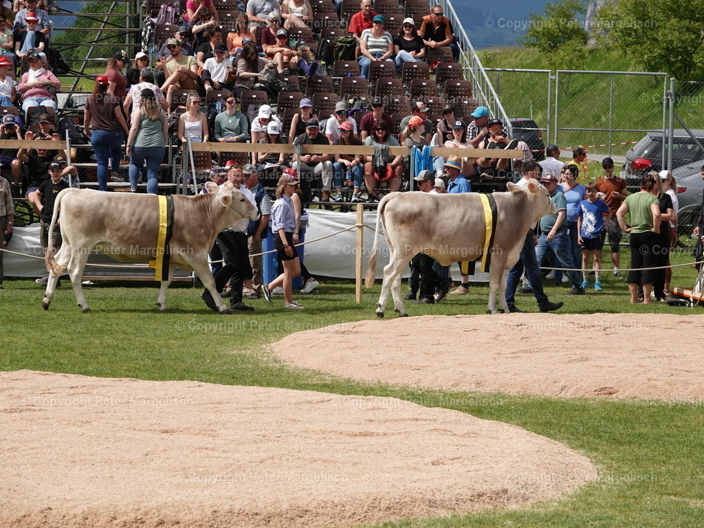 DSC07484 | Schwingen - Realisiert mit Pictrs.com