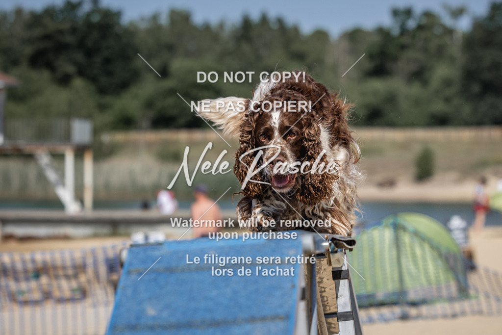 nelerasche_saBeachility_345 | nelerasche