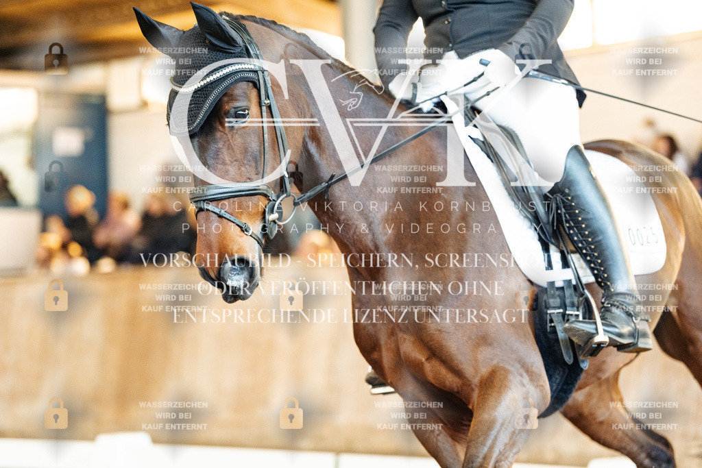 CK909403 | Turnierfotografie Pferdefotografie Trier Rheinland-Pfalz Pferdesport Reitsport Tierfotografie Sportfotografie Pferdevideo Pferdevideografie Equestrianvideography equestrianphotography  - Realisiert mit Pictrs.com