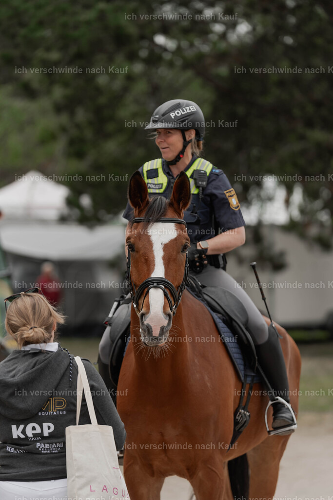 Showprogramm-407 | working equitationturnier fotograf videograf stoibphotography marixx film working equitation deutschland reitsport turnierfotografie eventfotografie equestrian events