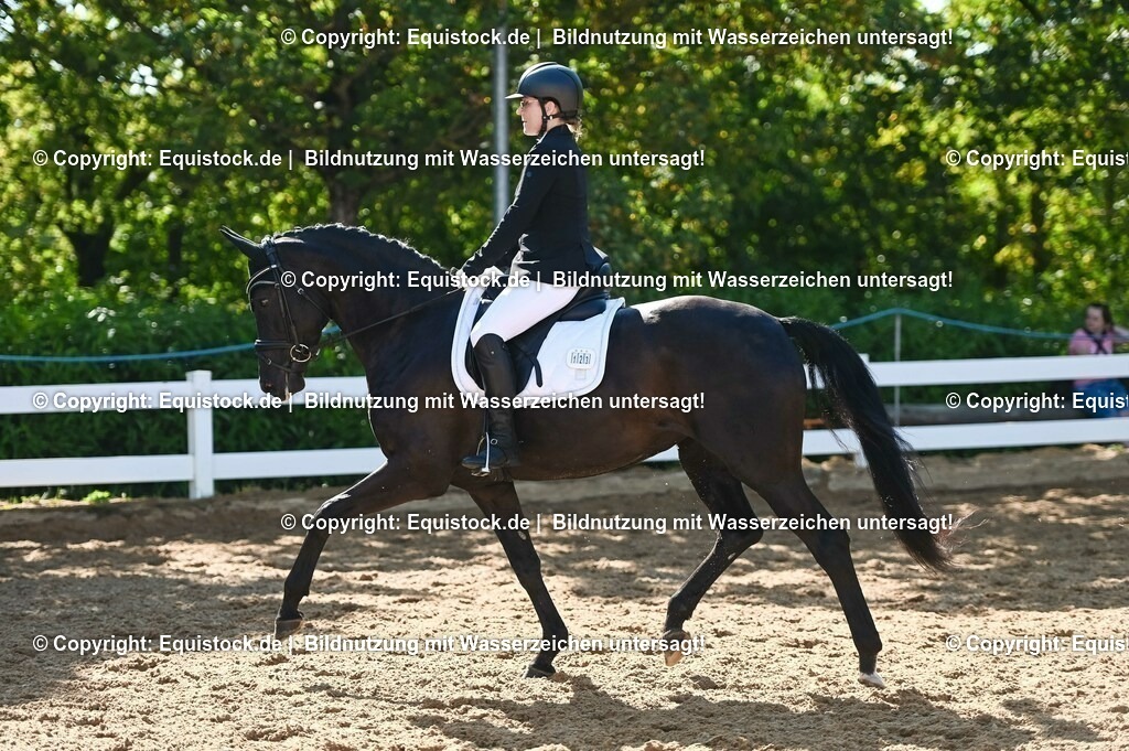 20230715_06_Dressurpferdeprfg. Kl.A_0342 | equistock