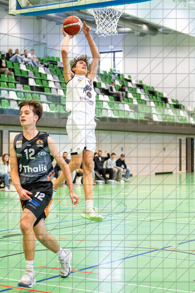 JBBL 24/25 | 27.10.2024 | Charisma Young Bulls vs. BBA Hagen | JBBL 24/25 | 27.10.2024 | Charisma Young Bulls vs. BBA Hagen - - - - - CREDIT, www.bullenfotos.de, Martin König, Hörner Weg 40, D-49078 Osnabrück, +4917663732967, Nutzung und Weitergabe nur zu den vereinbarten Zwecken. Presseanfragen an Urheber. Alle Rechte beim Urheber. - - - - - - Realisiert mit Pictrs.com