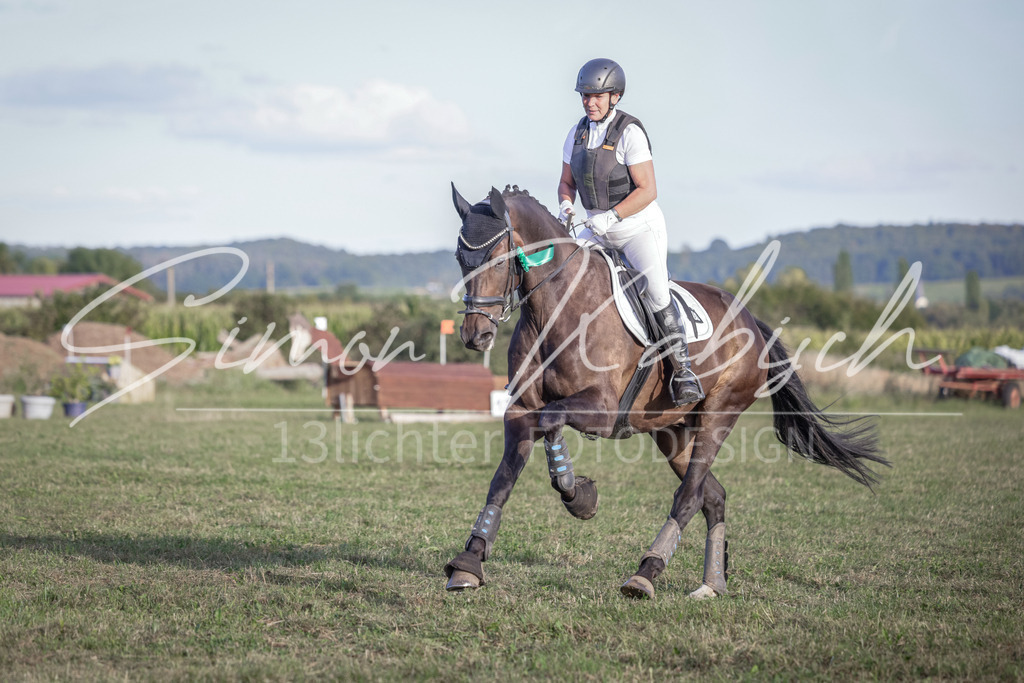 20250906-_3LI8215 | Tierfotografie Pferde, Hunde, Katzen, Haustiere.
Turnierfotografie Reitturniere, Reiten, Springreiten, Dressur in Hanau, dem Main-Kinzig-Kreis und dem Rhein-Main- Gebiet um Frankfurt