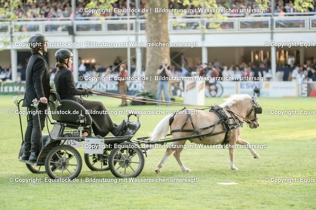 20230526_Pferdenacht_0135 | equistock