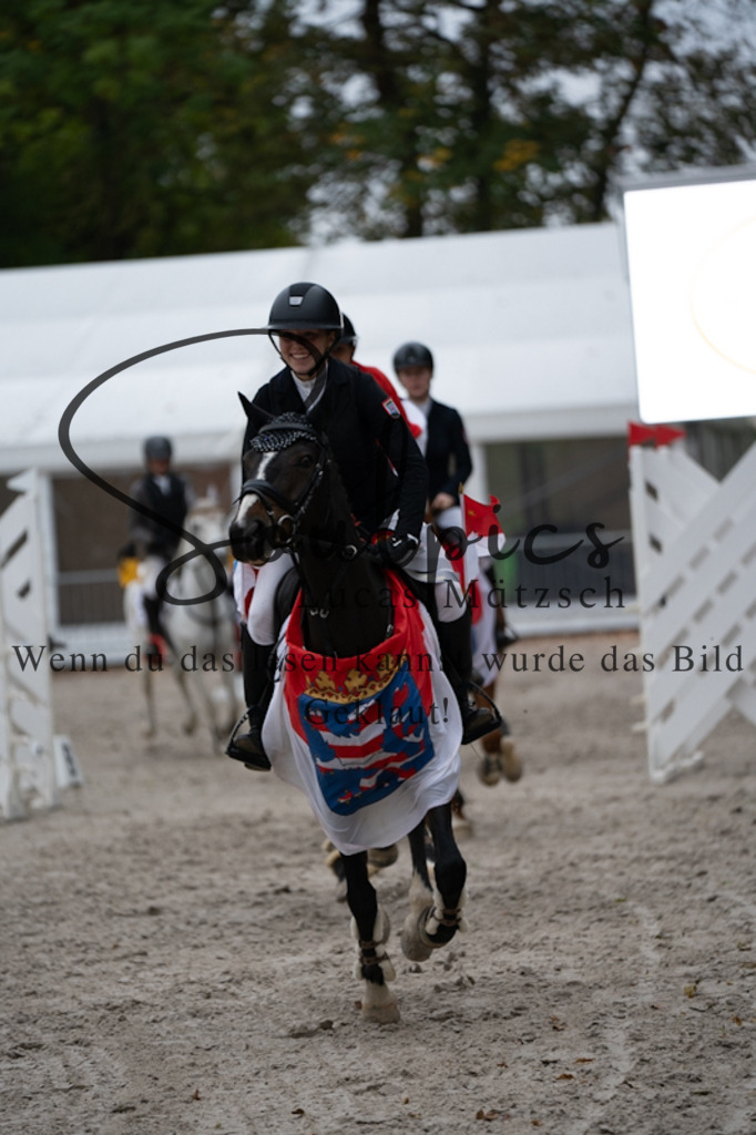 A7V00183 | Pferdefotograf