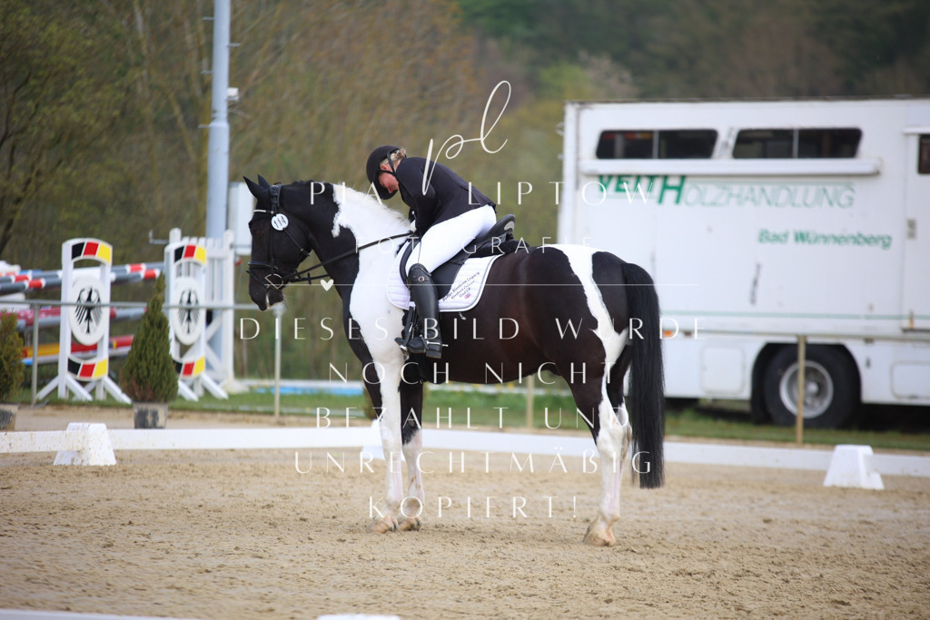 IMGT6519 | pl-fotografie