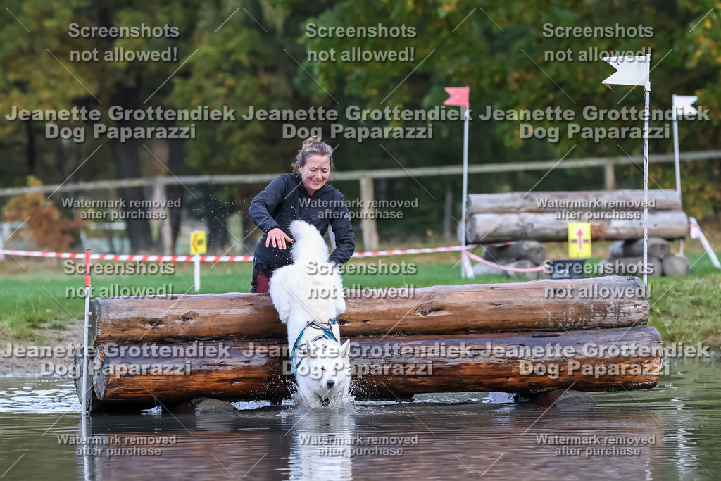 Dog Paparazzi - Strongdog 10-25-6640 | Dog Paparazzi Jeanette Grottendiek Fotografie & Videografie - Realisiert mit Pictrs.com