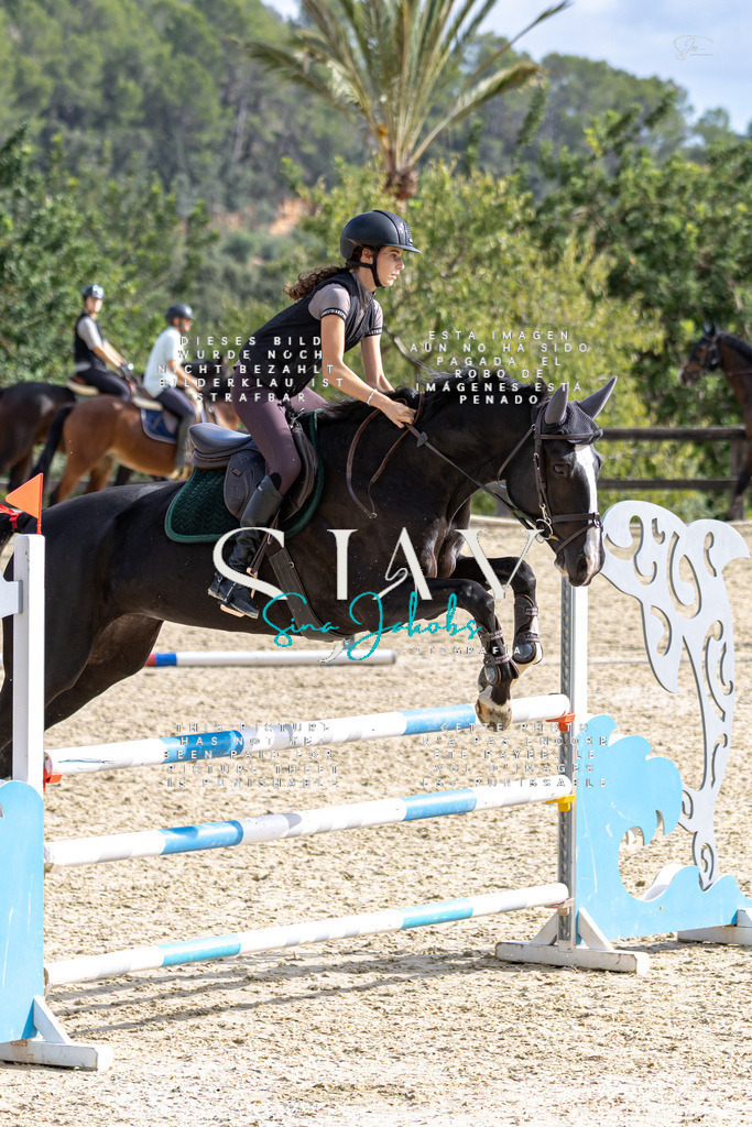 IMG_3134 | s-jay-photography - Realisiert mit Pictrs.com