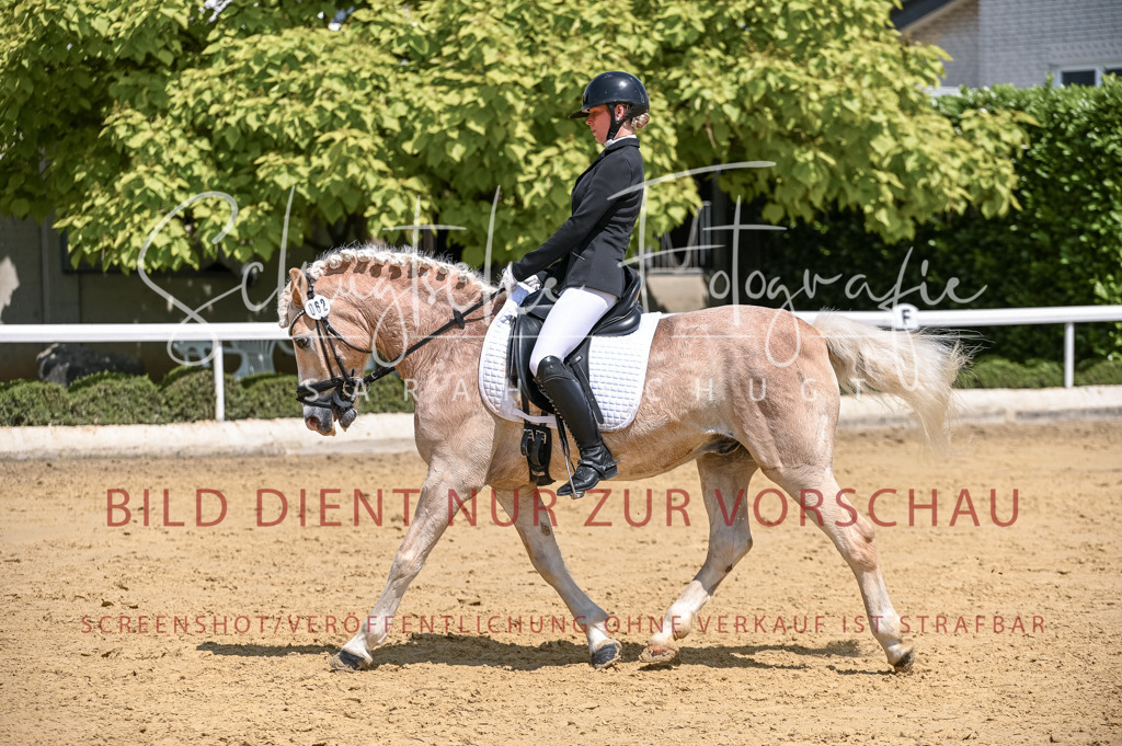 Schugtsche-Aluta25-53.Amat.Dressurprf.A2-394 | Schugtsche Fotografie - Realisiert mit Pictrs.com