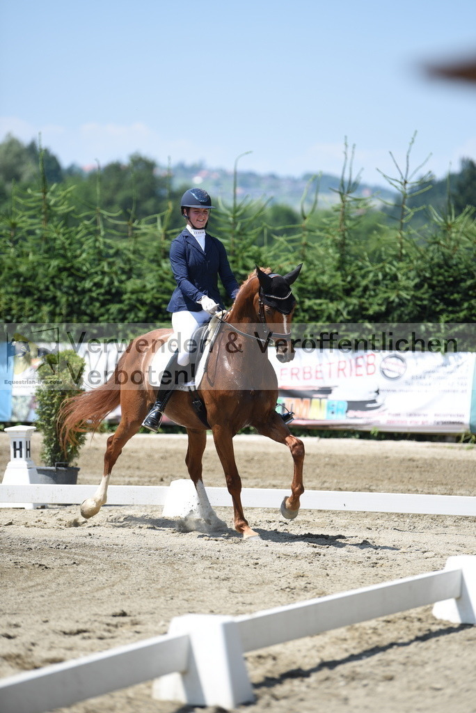 DSC_0642 | equestrian-live-com