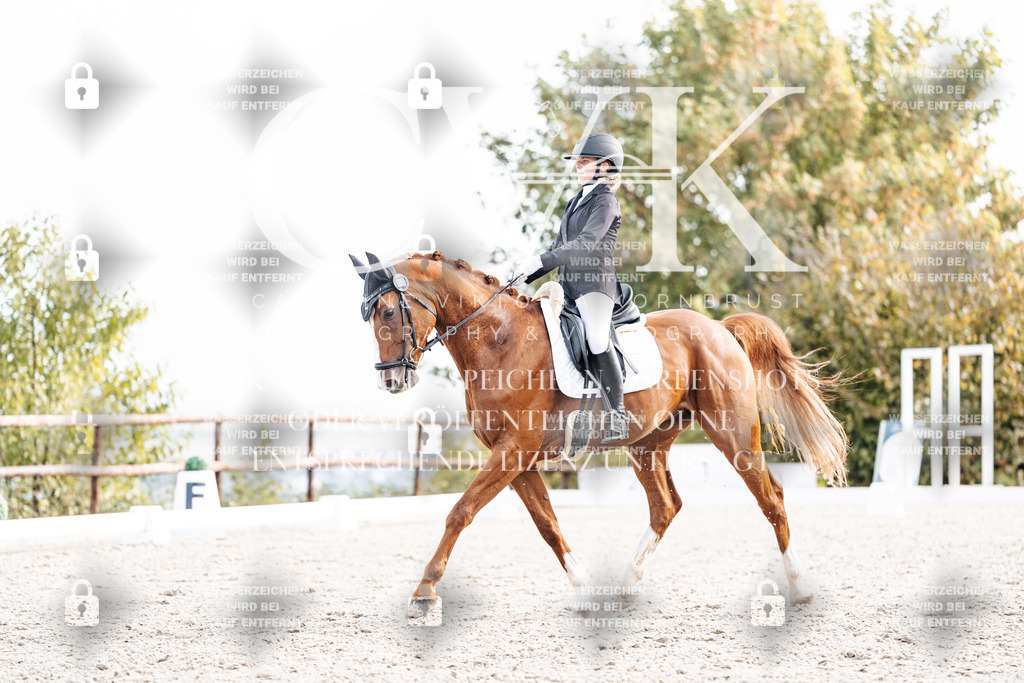 CK901345 | Turnierfotografie Pferdefotografie Trier Rheinland-Pfalz Pferdesport Reitsport Tierfotografie Sportfotografie Pferdevideo Pferdevideografie Equestrianvideography equestrianphotography  - Realisiert mit Pictrs.com
