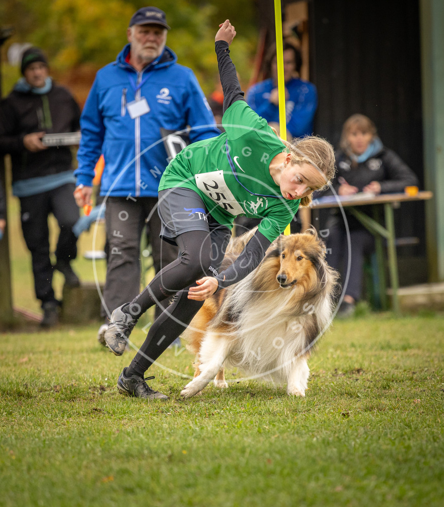 Pfotenfotografie_DV3A6257 | Hundefotografie, Tierfotograf, Pfotenfotografie, Fotoshooting Hund, Hunde Portrait, Hundesport, Hundeportraits, Heideshooting, Hunde, Sportfotograf, Hundefotograf, Turnierhundsport, THS,  - Realisiert mit Pictrs.com