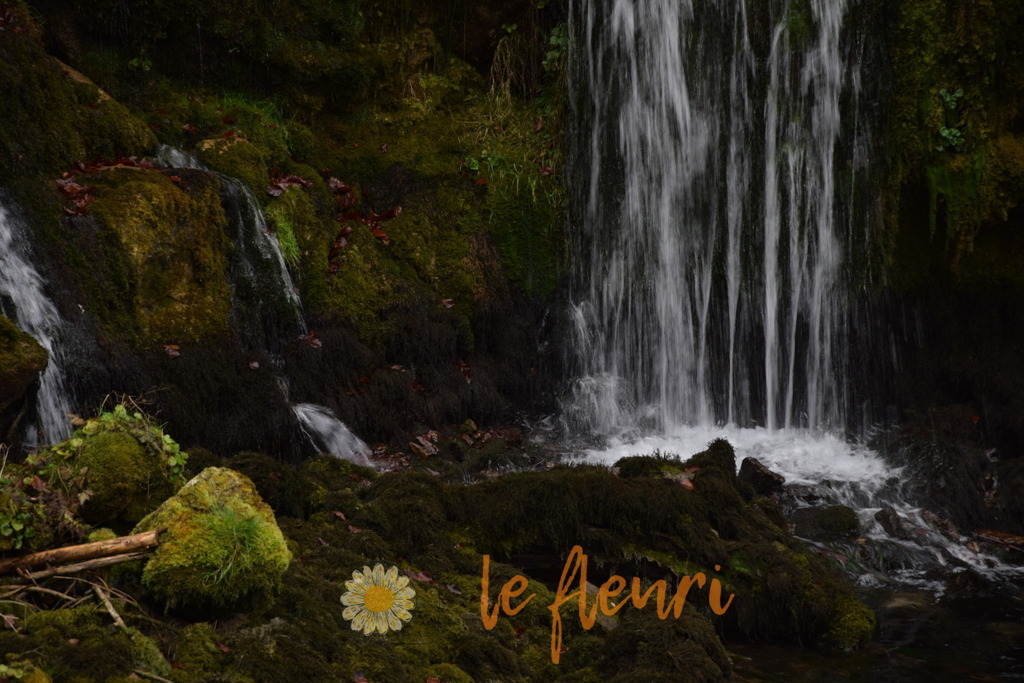 Jaun (208) | Dies ist der Shop von Florian Blum - le fleuri. Langenthal, Bern, Schweiz. Sie können hier meine oder ihre eigenen Fotos als Fotoprodukte kaufen. Tassen, Schlüsselanhänger, Taschen etc. können Sie hier gestalten.  - Realisiert mit Pictrs.com