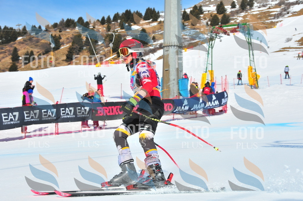 DSC_4641 | holidayphoto