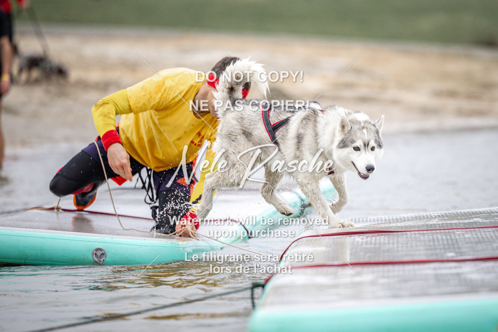 nelerasche_Hulsbeek_Sa1030-1100_288 | nelerasche