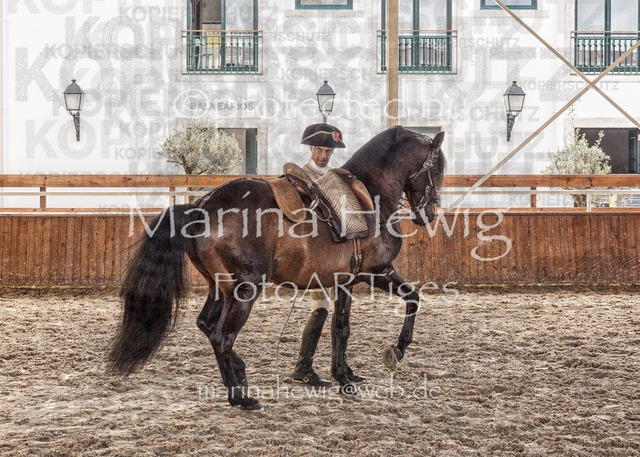 Belem-1_MarinaHewig | OLYMPUS DIGITAL CAMERA - Realisiert mit Pictrs.com