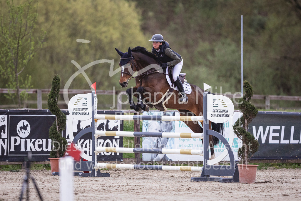 250417_Frühlingsfest_Youngster-M-222 | Deine schönsten Turniermomente als professionelle Fotos! Entdecke hochwertige Pferdesport-Fotografie im Online-Shop. Jetzt Fotos finden & bestellen!