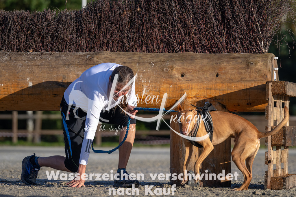 0933-93968 | kk-dogfotos