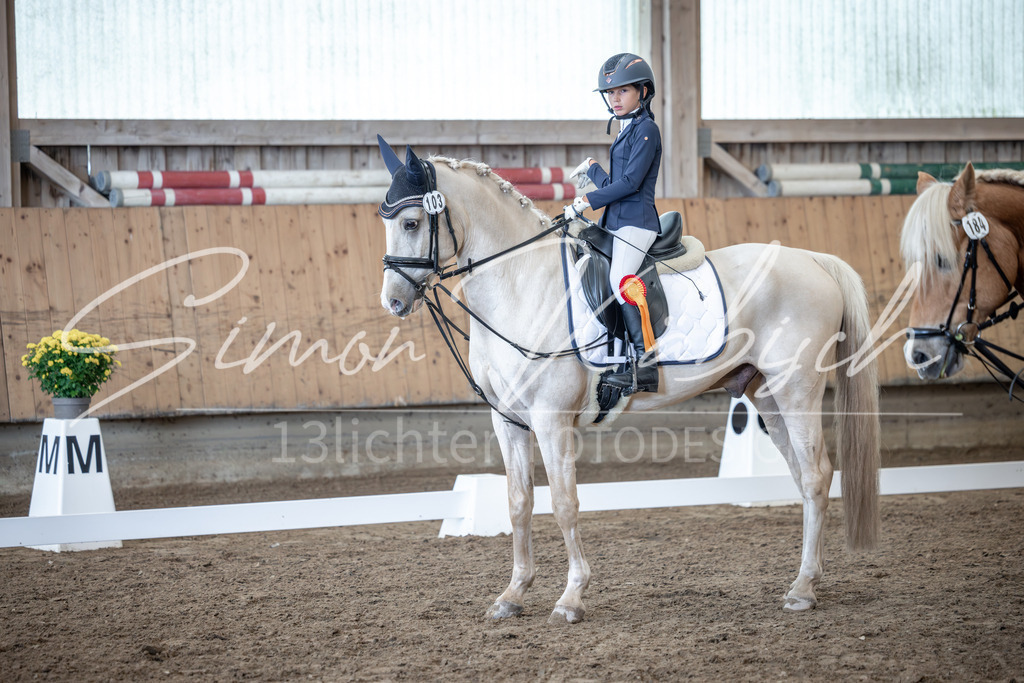 20251011-_3LI8477 | Tierfotografie Pferde, Hunde, Katzen, Haustiere.
Turnierfotografie Reitturniere, Reiten, Springreiten, Dressur in Hanau, dem Main-Kinzig-Kreis und dem Rhein-Main- Gebiet um Frankfurt