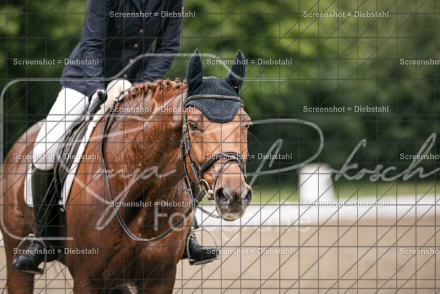 _W6A3403 | ronjaprokoschfotografie - Realisiert mit Pictrs.com