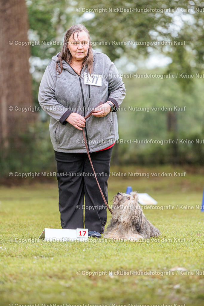 RO-Blumenthal-2026-Nickbest-Hundefotografie-3540 | Dein Hund! Dein Moment! Deine Erinnerungen! Hundefotografie in Bremen Blumenthal. Ich fange die besonderen Momente deines Vierbeiners ein – ob Indoor mit Blitzanlage oder in der freien Natur. Sicher dir dein Moment und dein Termin für eure Erinnerungen.