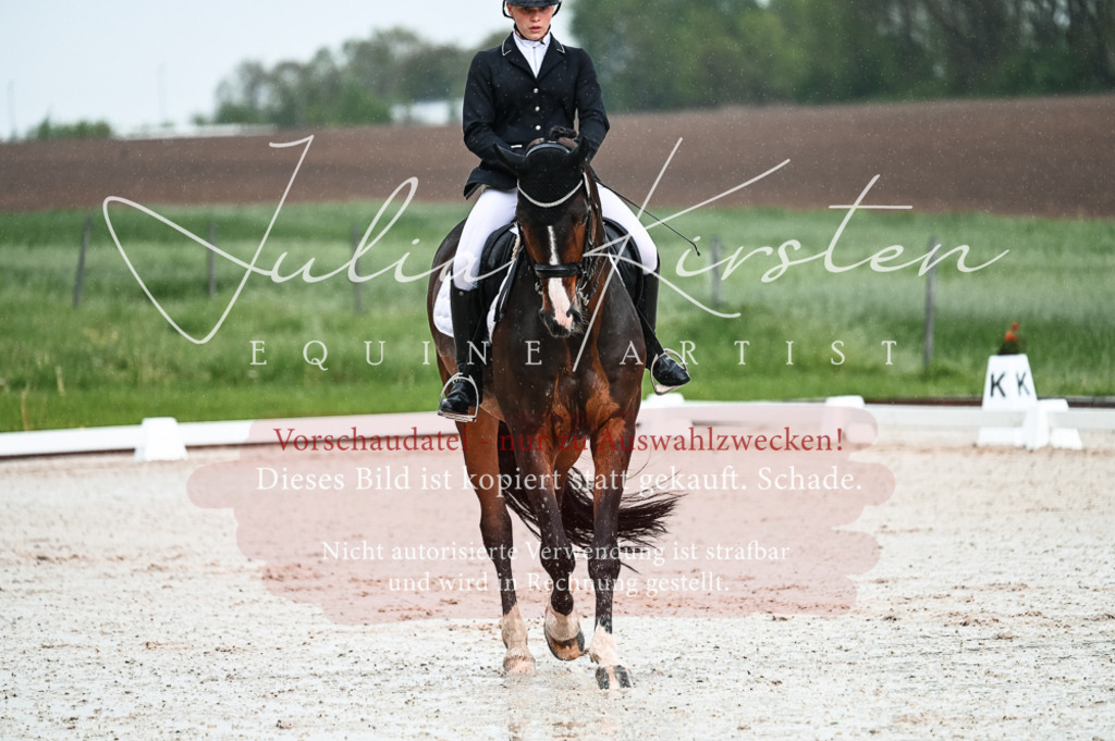 DSC_4135 | Pferde- und Turnierfotografie in Westsachsen. Pferdeportraits, Auftragszeichnungen und intuitive Kunst.
