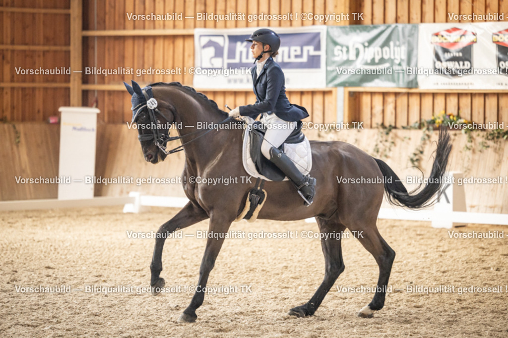 _D5A9171 | Emotionale Pferde- & People-Fotografie rund um Heidelberg, Leimen & Umgebung. Natürliche Fotos von Pferd, Mensch & Familie. Jetzt Termin sichern!