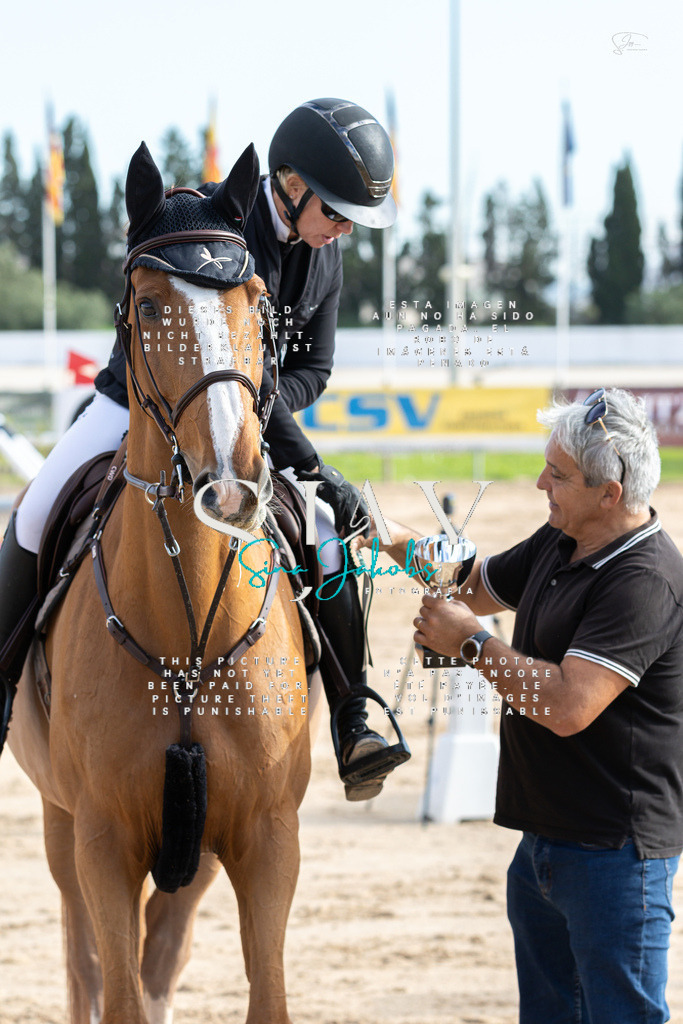 IMG_2312 | s-jay-photography - Realisiert mit Pictrs.com