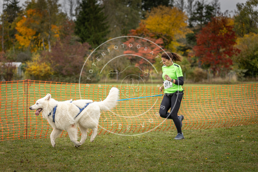 Pfotenfotografie_DV3A4194 | Hundefotografie, Tierfotograf, Pfotenfotografie, Fotoshooting Hund, Hunde Portrait, Hundesport, Hundeportraits, Heideshooting, Hunde, Sportfotograf, Hundefotograf, Turnierhundsport, THS,  - Realisiert mit Pictrs.com